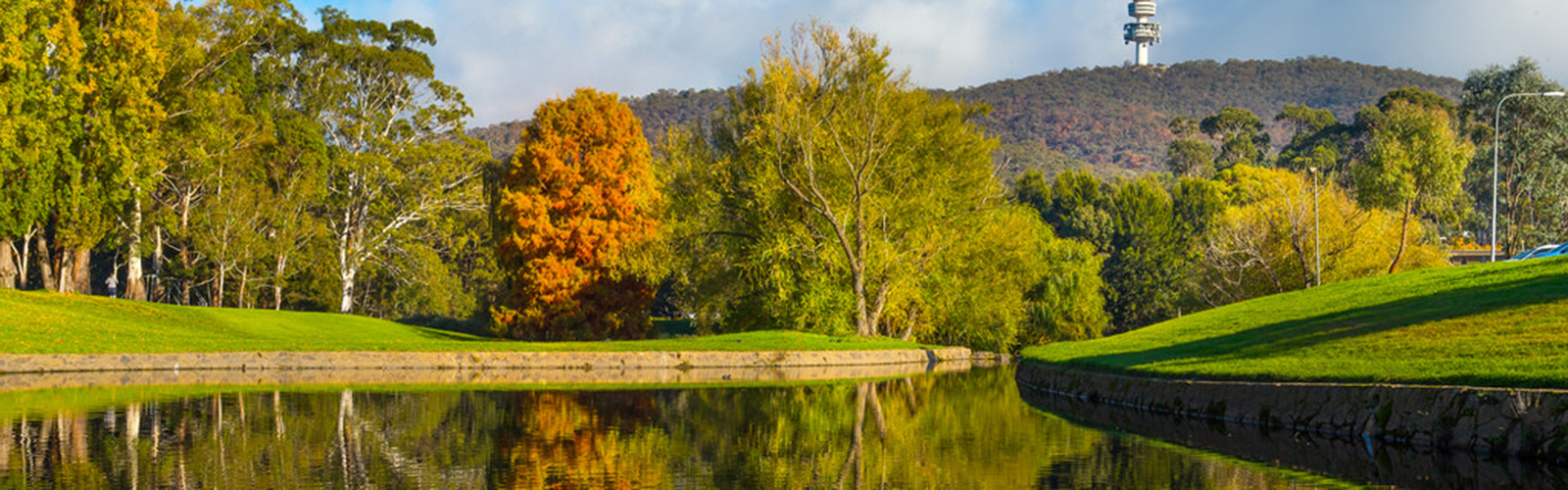 Pond surrounded by trees, reflecting the fall season